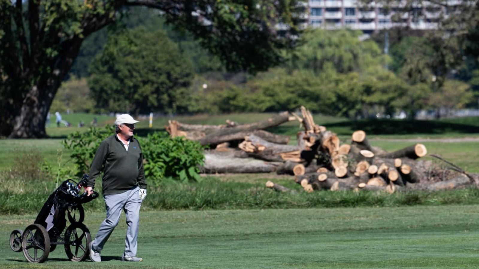 Der Golfplatz in Washington. Ein Teil der Bäume ist bereits gefällt worden, entgegen der Weisung des GerichtsSAUL LOEB/afp