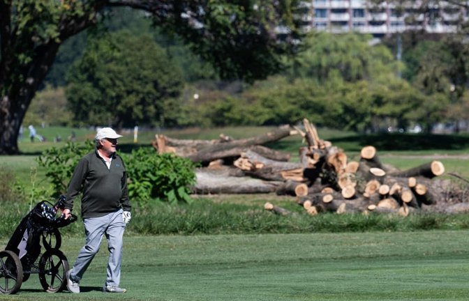 Der Golfplatz in Washington. Ein Teil der Bäume ist bereits gefällt worden, entgegen der Weisung des Gerichts<span class='image-autor'>SAUL LOEB/afp</span>