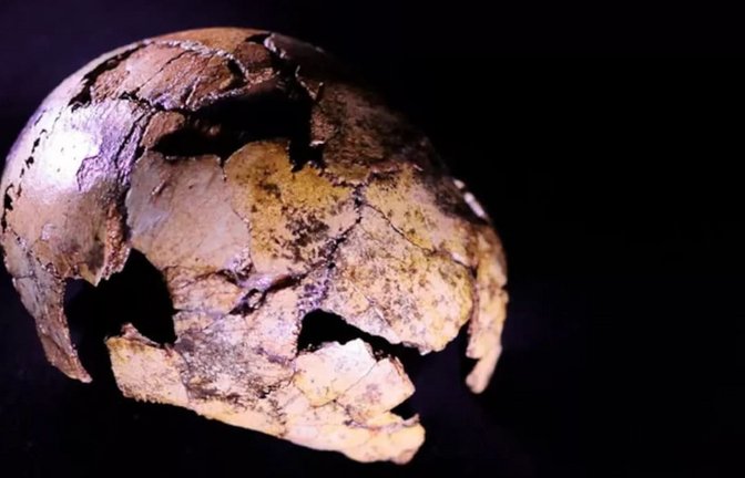 Der rund zwei Millionen Jahre alte Kinderschädel DNH 134 von Homo erectus aus der Drimolen-Höhle in Südafrika.<span class='image-autor'>© Therese van Wyk/ University of Johannesburg</span>