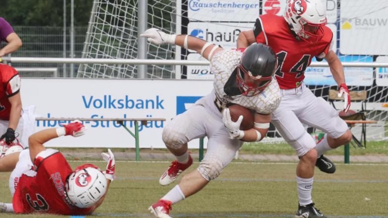 Die Leonberg Alligators ließen den Stuttgart Scorpions nicht den hauch einer Chance: Daniel Bäßler (mit Ball) gelangen zwei Touchdowns für den Tabellenführer.Andreas Gorr