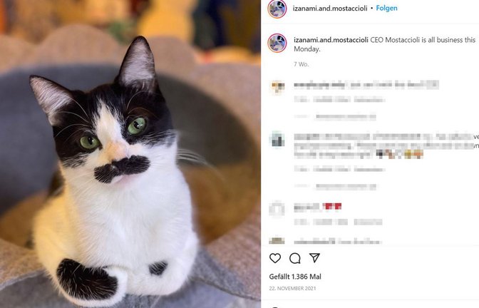 Foto: Screenshot/instagram.com/izanami.and.mostaccioli
