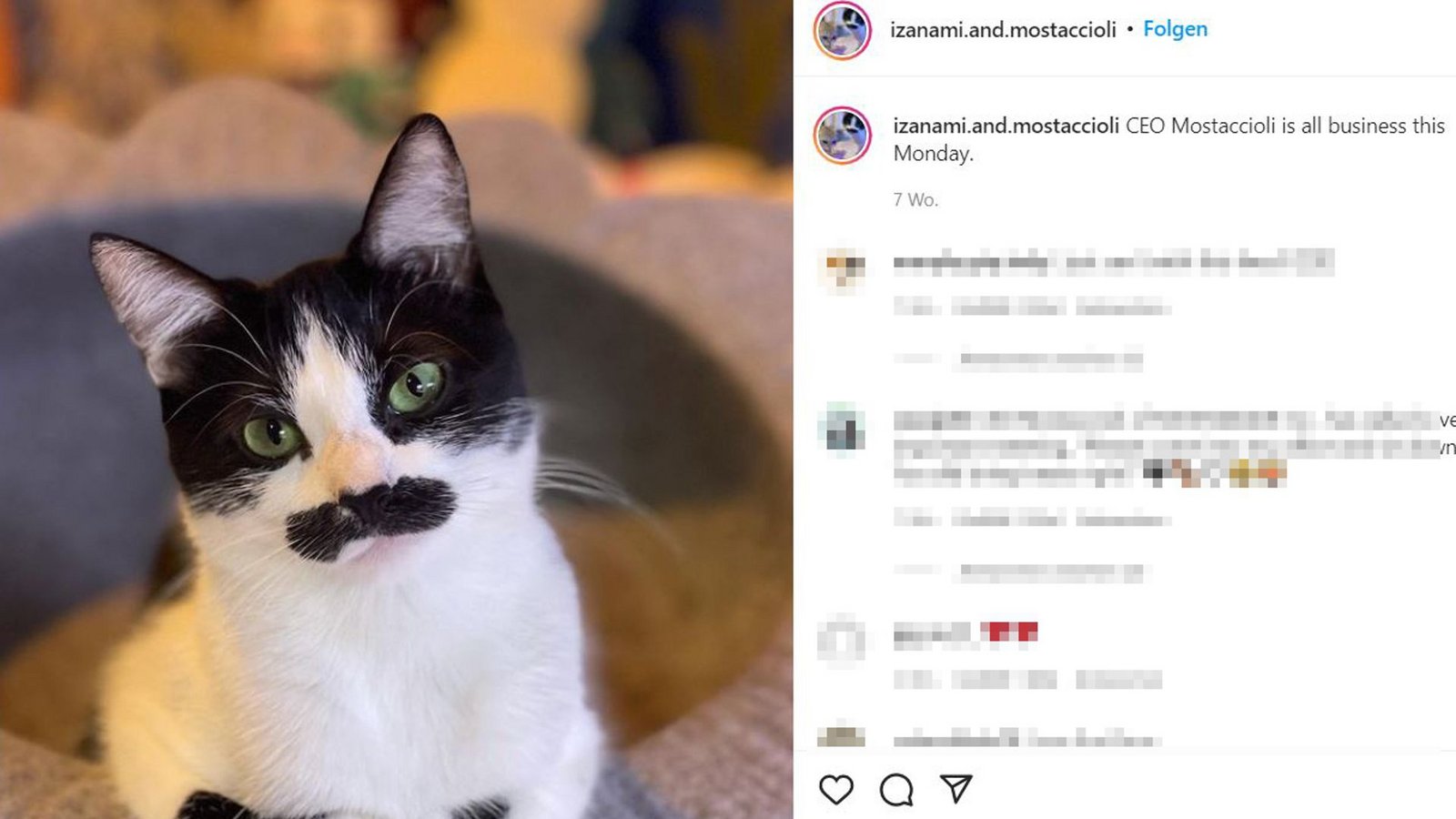 Foto: Screenshot/instagram.com/izanami.and.mostaccioli