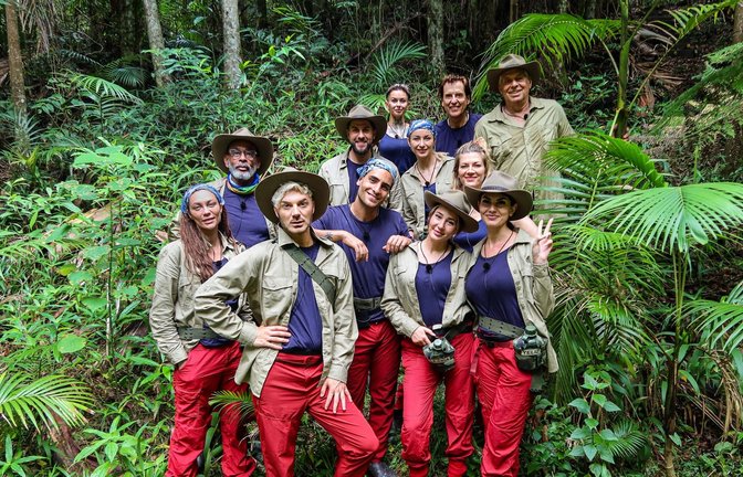 Die Dschungelstars Lilly Becker (von links), Pierre Sanoussi-Bliss, Sam Dylan, Maurice Dziwak, Timur Ülker, Edith Stehfest, Anna-Carina Woitschack, Alessia Herren, Jörg Dahlmann, Nina Bott, Yeliz Koc, Jürgen Hingsen haben sich in den australischen Dschungel gewagt.<span class='image-autor'>Foto: RTL/dpa</span>