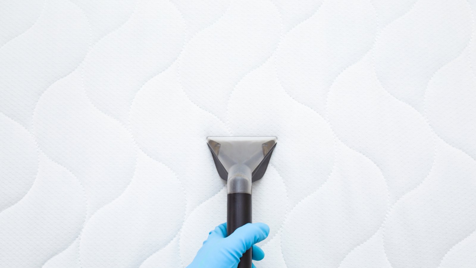 Ein Waschsauger eignet sich besonders gut.Foto: FotoDuets / shutterstock.com Ein Waschsauger eignet sich besonders gut.Foto: FotoDuets / shutterstock.com
