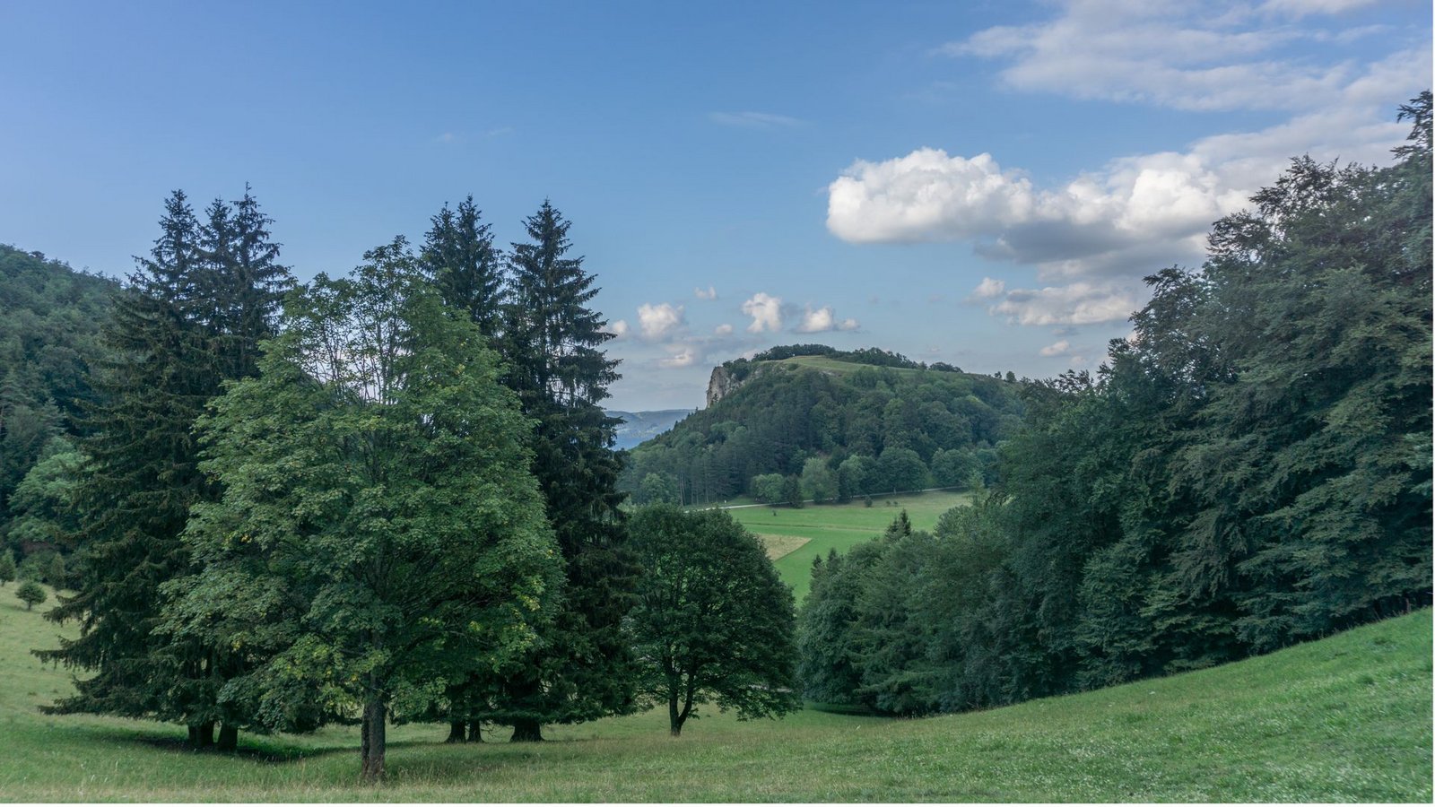 Blick zurück auf den Lochen vom Schafberg ausFoto: Faltin Blick zurück auf den Lochen vom Schafberg ausFoto: Faltin