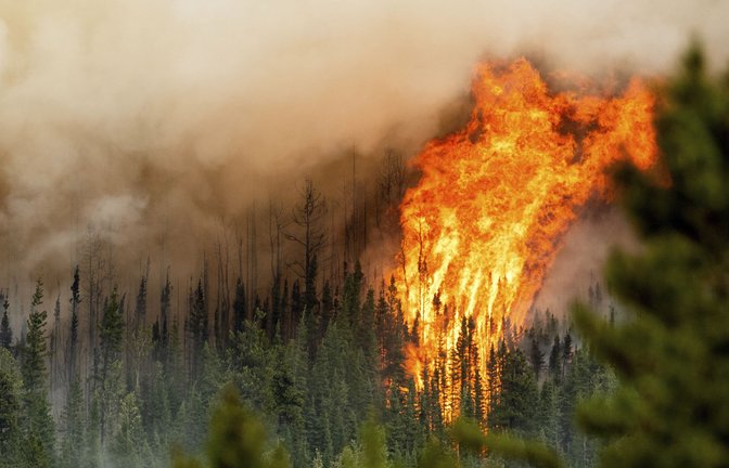 Ein Waldbrand wütet am 3. Juli 2023 in der kanadischen Region Donnie Creek. Die Waldbrände in Kanada haben nach Angaben des EU-Erdbeobachtungsprogramms Copernicus Rekordmengen an Kohlenstoff in die Atmosphäre gepumpt.<span class='image-autor'>Foto: Noah Berger/AP/dpa</span>