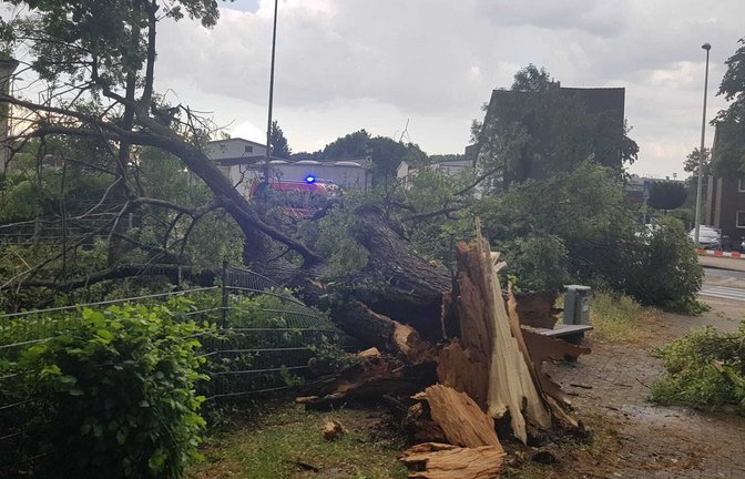 In Düren hinterließ das Unwetter ein Bild der Verwüstung.<span class='image-autor'>Foto: Feuerwehr Düren</span>