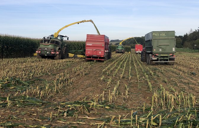 Rund um Mühlacker ist in nächster Zeit vermehrt mit Traktoren samt Anhängern auf den Straßen zu rechnen. Denn die Biomethananlage im Industriegebiet „In den Waldäckern“ beginnt mit der Maisernte. Etwa 30 000 Tonnen Mais, Gras und minderwertiges Getreide, das nicht für die Produktion von Nahrungsmitteln geeignet, werden dort pro Jahr zu Biomethan umgewandelt und in das bestehende Erdgasnetz einspeist. Auch Vaihingen liegt noch im Einzugsgebiet. Also Augen auf im Straßenverkehr! <span class='image-autor'>Foto: p</span>