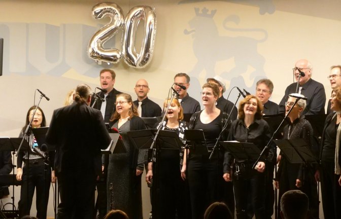 Der Bosch Jazzchor Vocal Ignition feierte am Samstagabend im MVV-Pavillon sein 20-jähriges Bestehen mit einem abwechslungsreichen Programm. <span class='image-autor'>Foto: Friedrich</span>