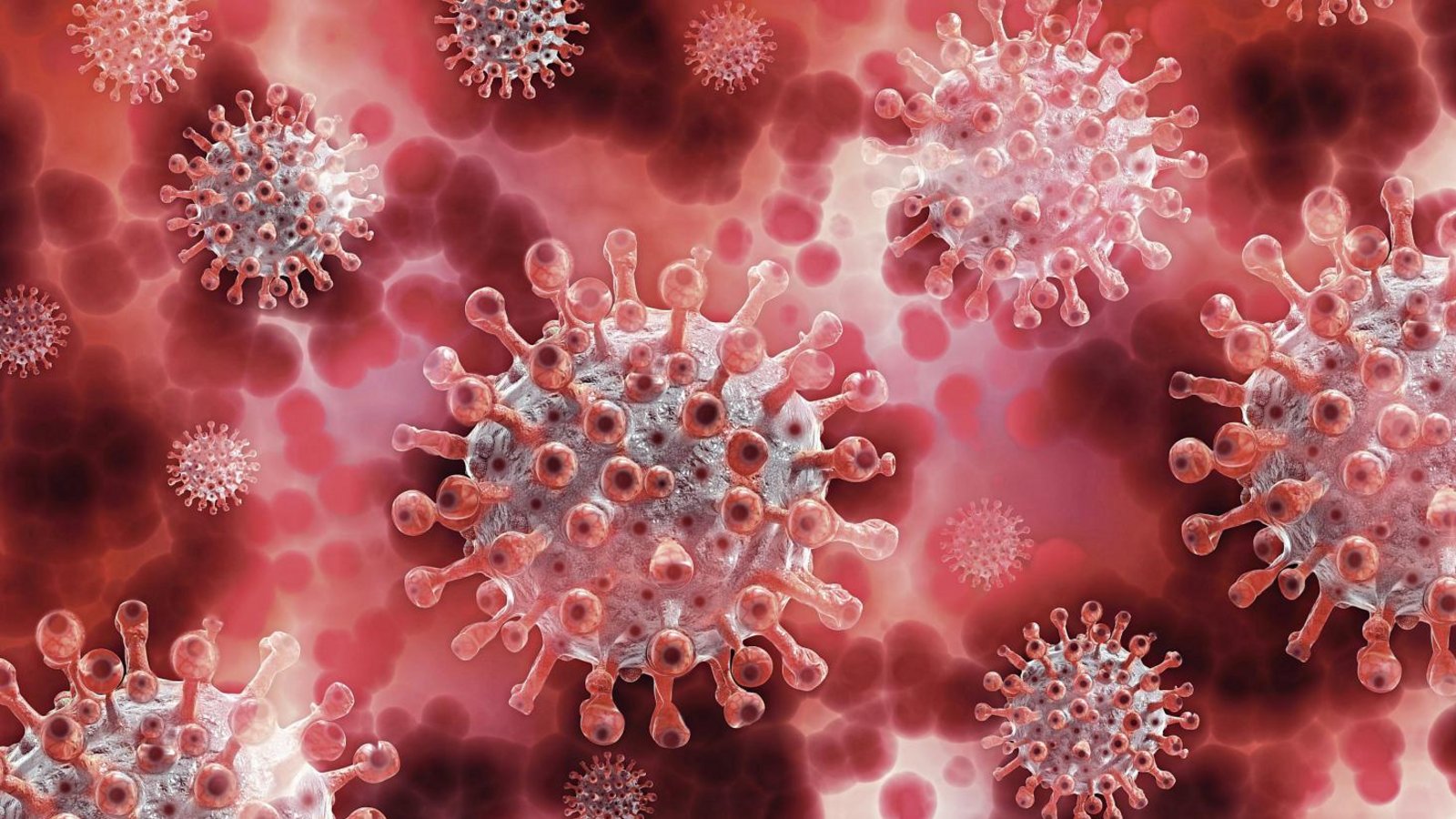 Das Coronavirus (Computeranimation) bestimmt unseren Alltag – auch im Sport und in der Freizeit. Foto: ddp Das Coronavirus (Computeranimation) bestimmt unseren Alltag – auch im Sport und in der Freizeit. Foto: ddp