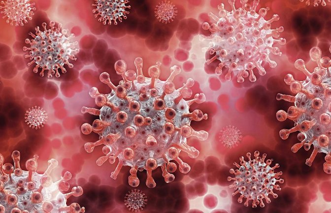Das Coronavirus (Computeranimation) bestimmt unseren Alltag – auch im Sport und in der Freizeit. Foto: ddp