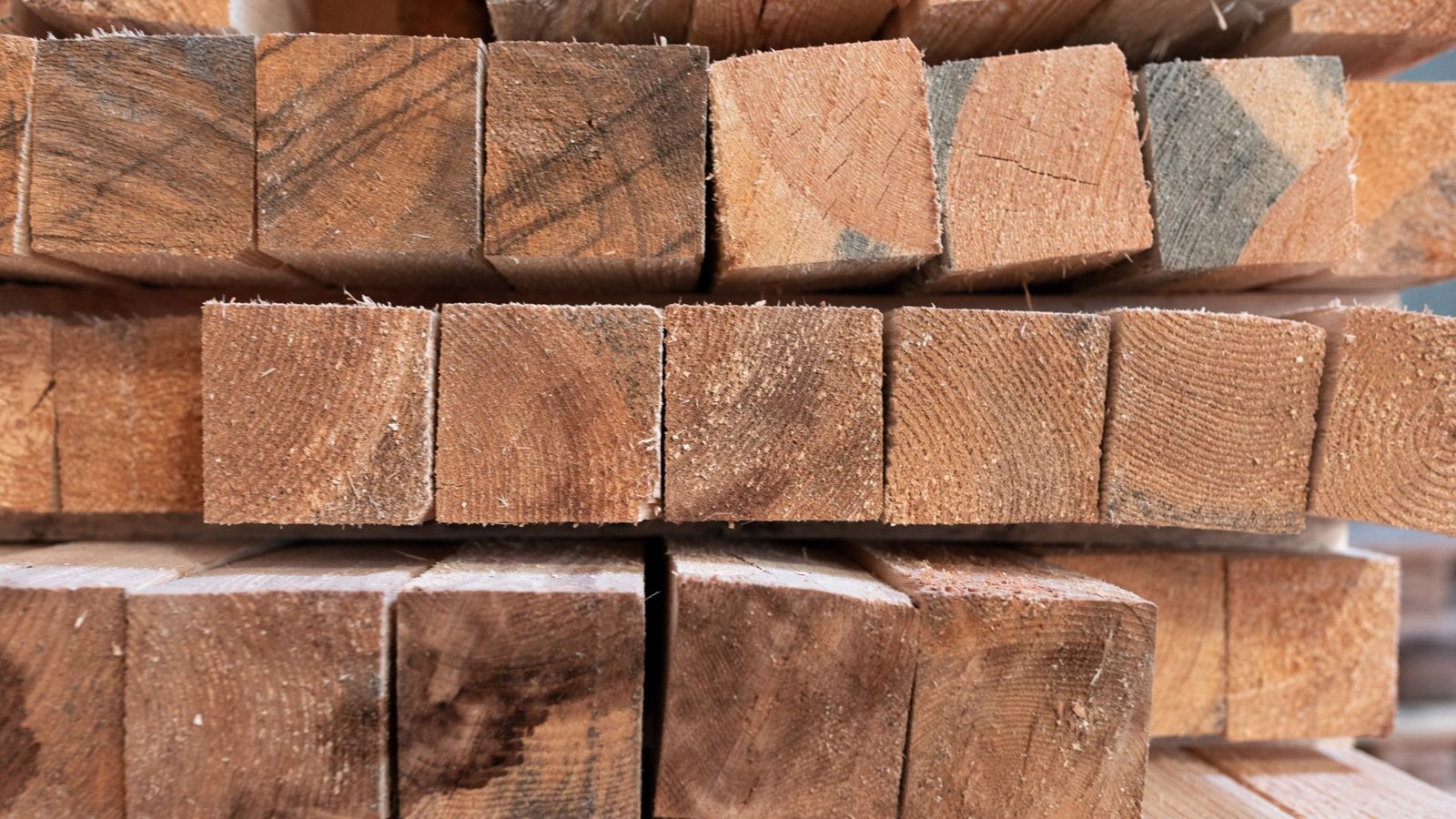 Die Kanthölzer, die das Start-up Triqbriq verarbeitet, haben teils blaue Verfärbungen, für Möbel sind sie nicht attraktiv. Als Baustoff für ein Gebäude taugt dieses Holz trotzdem.Foto: privat Die Kanthölzer, die das Start-up Triqbriq verarbeitet, haben teils blaue Verfärbungen, für Möbel sind sie nicht attraktiv. Als Baustoff für ein Gebäude taugt dieses Holz trotzdem.Foto: privat