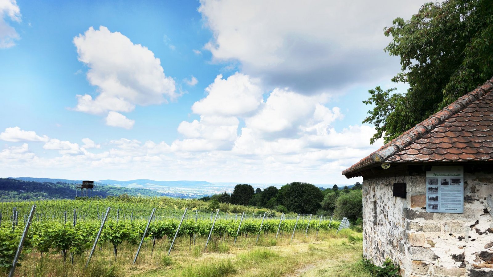 An der Waldstückleshütte kann man mit bester Aussicht rastenFoto: /Dieter Buck An der Waldstückleshütte kann man mit bester Aussicht rastenFoto: /Dieter Buck