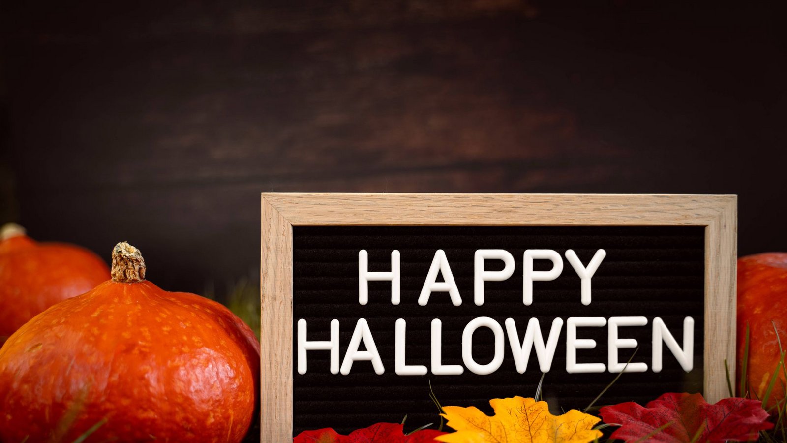 Egal ob als Suppe, Deko oder Laterne: Der Kürbis ist zur Halloween-Zeit besonders beliebt.Foto: IMAGO/Bihlmayerfotografie/IMAGO/Michael Bihlmayer Egal ob als Suppe, Deko oder Laterne: Der Kürbis ist zur Halloween-Zeit besonders beliebt.Foto: IMAGO/Bihlmayerfotografie/IMAGO/Michael Bihlmayer