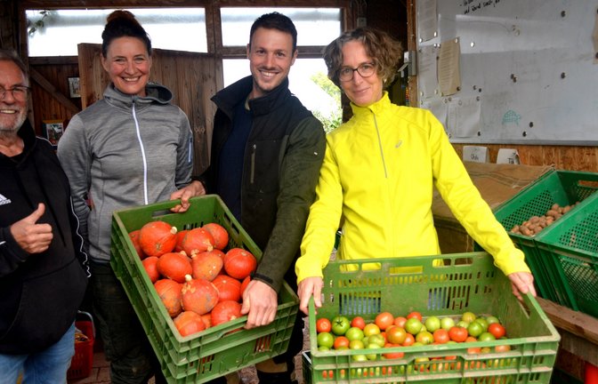 Reiche Ernte (von links): Paul Sayer, Vera Wagner, Jakob Semsdorf und Friederike Keitel sind zufrieden.  <span class='image-autor'>Fotos: Stahlfeld</span>