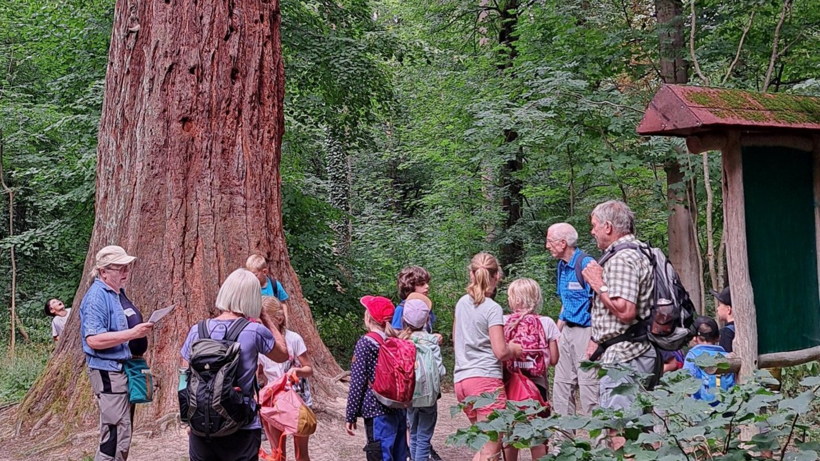 Beim Enzweihinger Kindersommer bestaunen die großen und kleinen Teilnehmer den riesigen Mammutbaum im Pulverdinger Holz. Foto: p Beim Enzweihinger Kindersommer bestaunen die großen und kleinen Teilnehmer den riesigen Mammutbaum im Pulverdinger Holz. Foto: p
