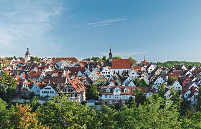 Durch das denkmalgeschützte Gesamtensemble Marbachs geht am Sonntag die Reise.  Foto: p