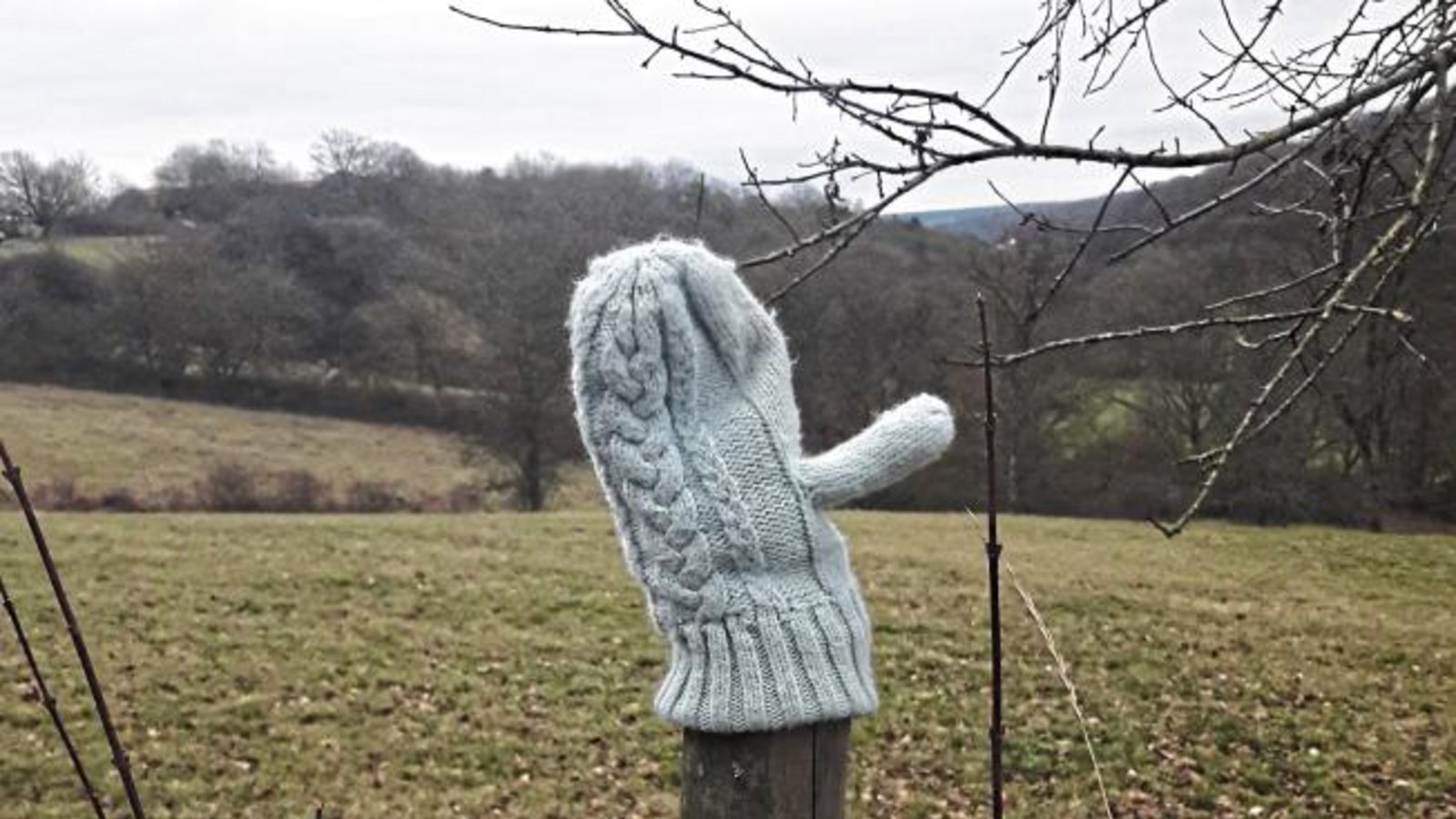 Winterstillleben, gesehen in Aurich.  Foto: Rücker