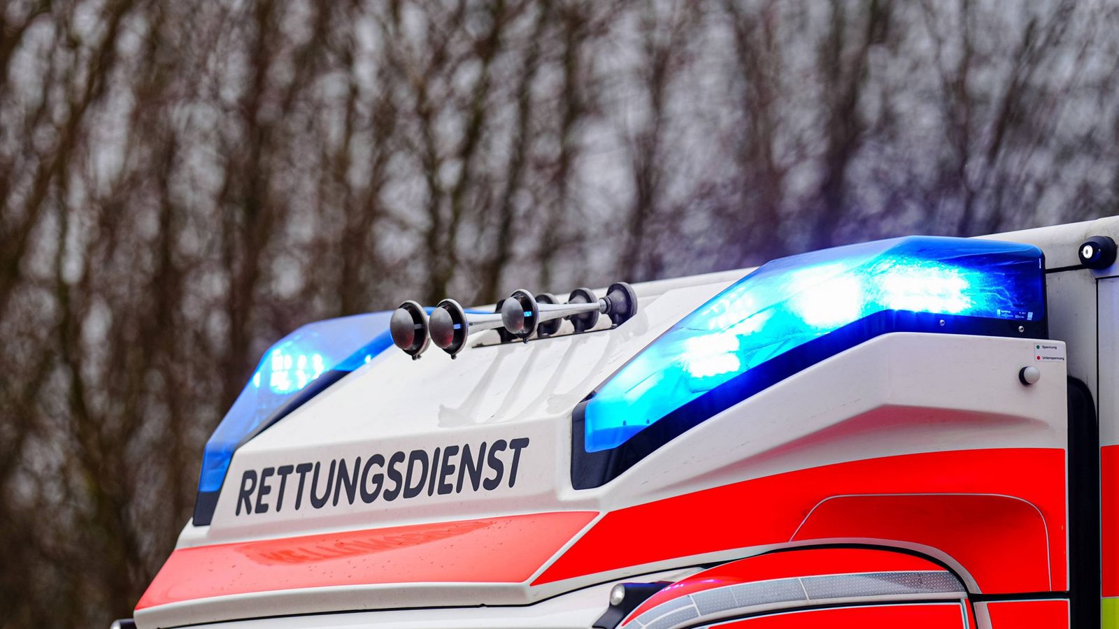 Die Seniorin wurde schwer verletzt und musste vom Rettungsdienst versorgt werden. (Symbolfoto)Foto: IMAGO/Eibner/IMAGO/Eibner-Pressefoto/Marcel von Fehrn
