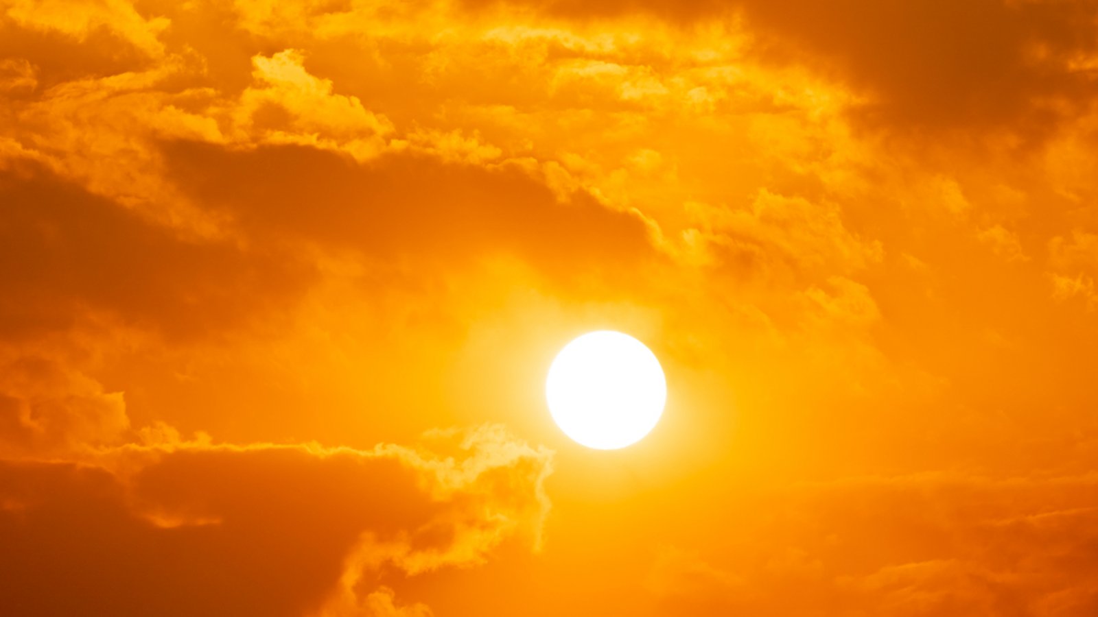 Wo war es am 2. Juli in Deutschland am heißesten?Foto: Torychemistry/ Shutterstock