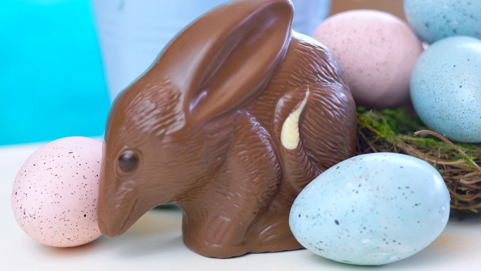 Nein, ein Hase ist das definitiv nicht.Foto: imago/Depositphotos/amarosy Nein, ein Hase ist das definitiv nicht.Foto: imago/Depositphotos/amarosy