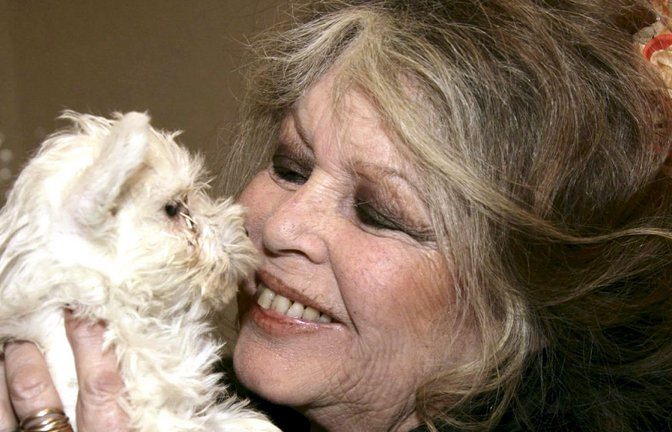 Brigitte  Bardot 2005 –  Tierschützerin und Enfant terrible<span class='image-autor'>Foto: dpa/dpaweb/A2800 epa Sipa Bebert</span>