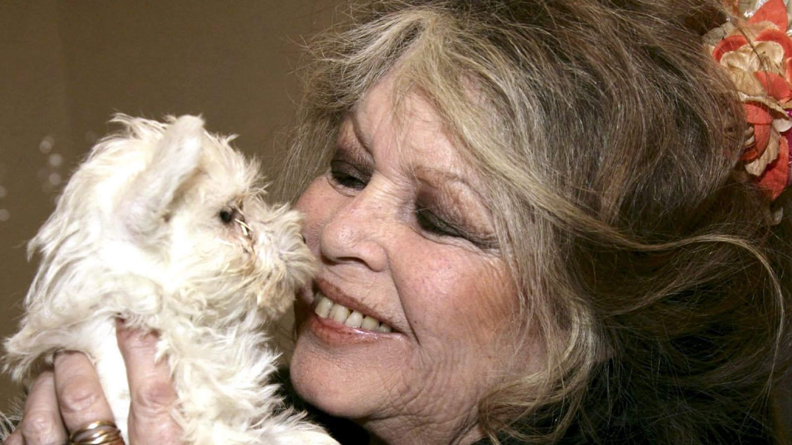 Brigitte  Bardot 2005 –  Tierschützerin und Enfant terribleFoto: dpa/dpaweb/A2800 epa Sipa Bebert