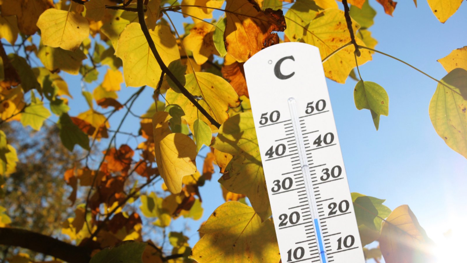 Das Wochenende wird mild in Baden-Württemberg.Foto: U. J. Alexander / shutterstock.com Das Wochenende wird mild in Baden-Württemberg.Foto: U. J. Alexander / shutterstock.com