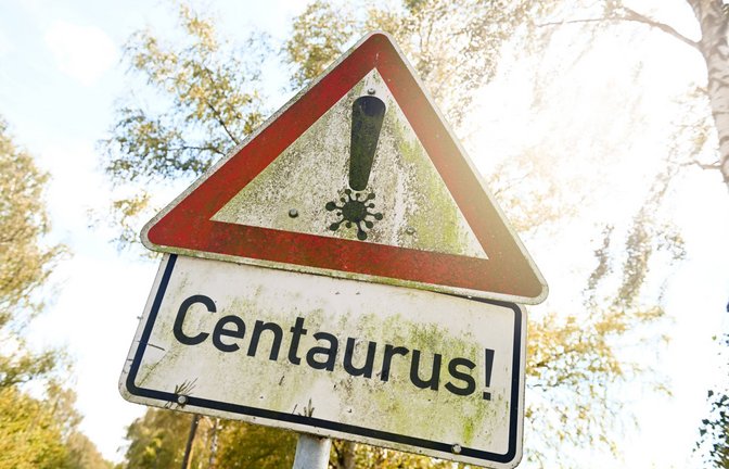 Die neue Omikron-Variante wird auch als „Centaurus“ bezeichnet (Symbolbild).<span class='image-autor'>Foto: IMAGO/Christian Ohde</span>
