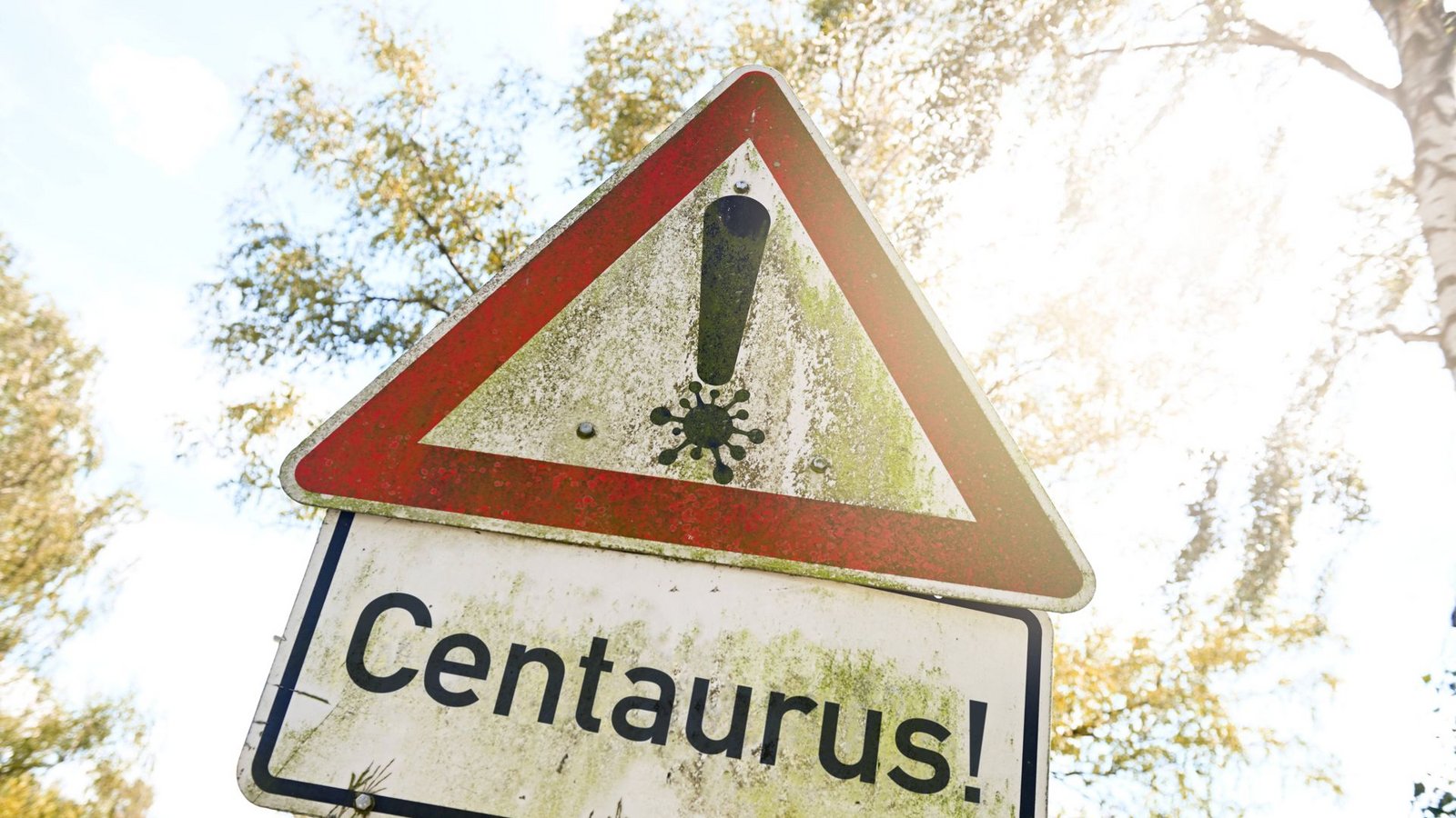 Die neue Omikron-Variante wird auch als „Centaurus“ bezeichnet (Symbolbild).Foto: IMAGO/Christian Ohde