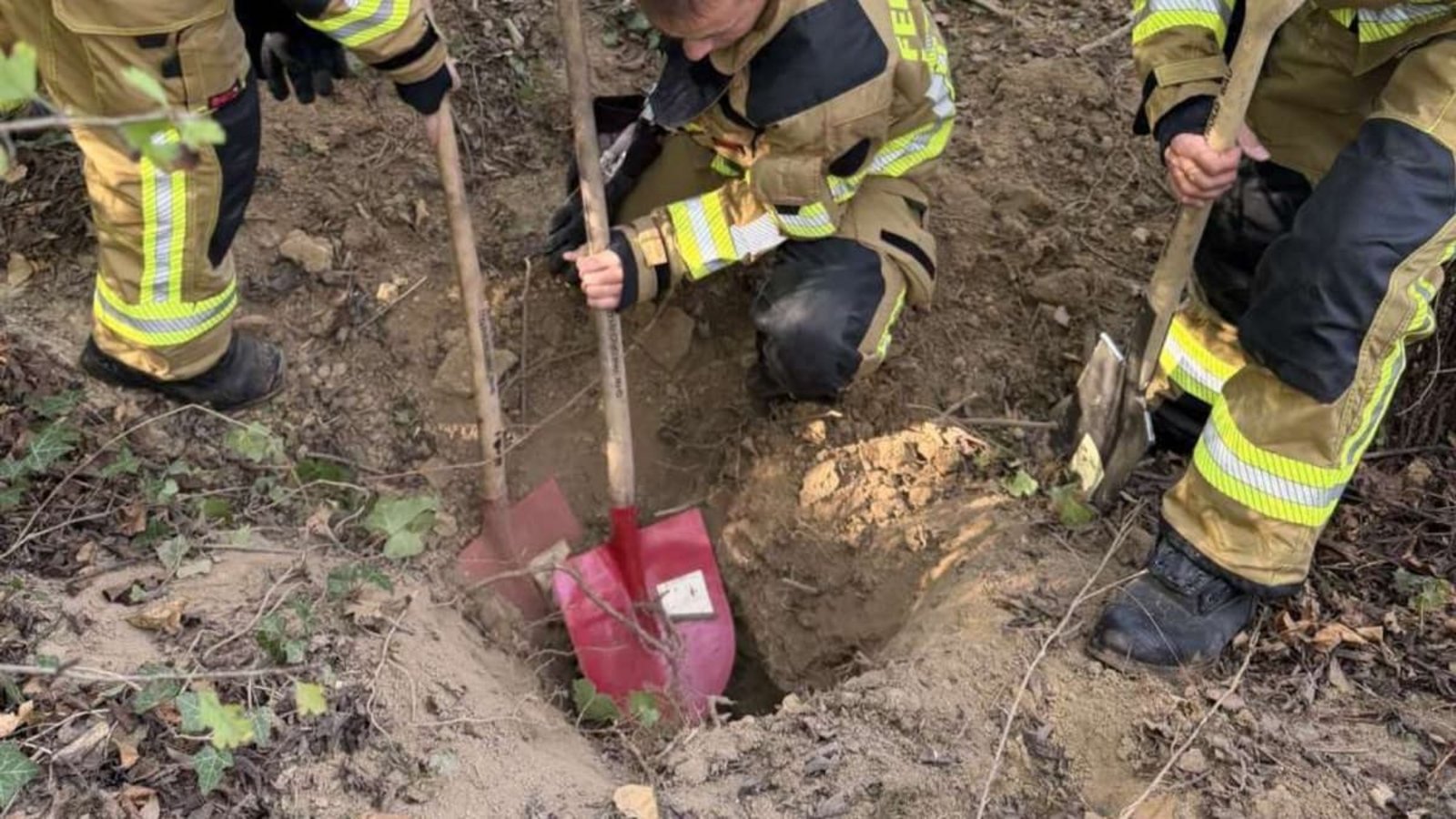 Ein Hund bleibt in einem Fuchsbau stecken: Die Feuerwehr rückt für die Befreiung an.Feuerwehr Heilbronn Ein Hund bleibt in einem Fuchsbau stecken: Die Feuerwehr rückt für die Befreiung an.Feuerwehr Heilbronn