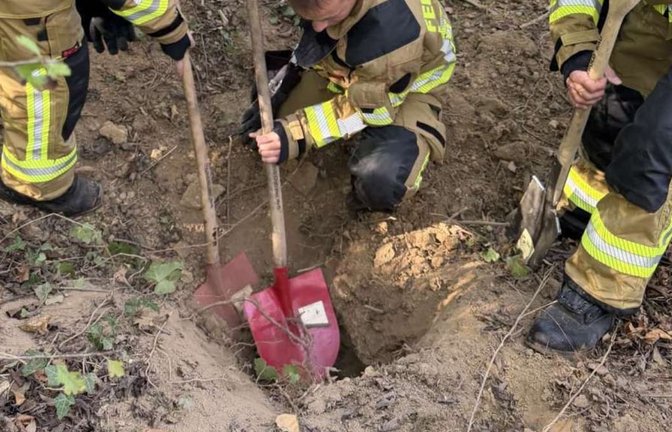 Ein Hund bleibt in einem Fuchsbau stecken: Die Feuerwehr rückt für die Befreiung an.<span class='image-autor'>Feuerwehr Heilbronn</span>