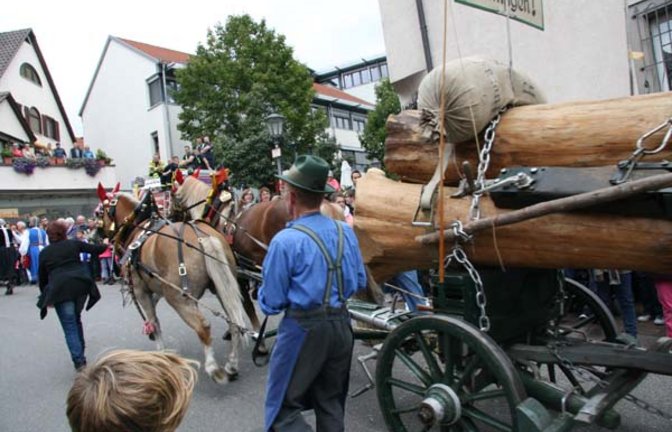 VKZ Bietigheim Pferdemarkt024
