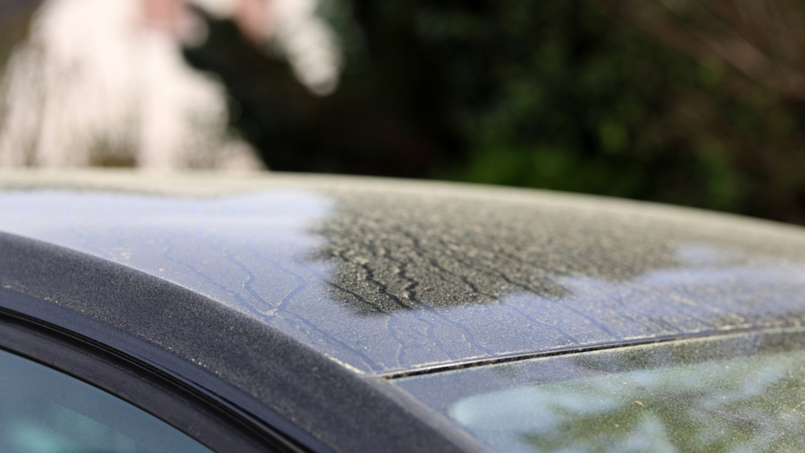 Erfahren Sie, wie lange das Wetterphänomen Deutschland noch begleitet, welche Auswirkungen es hat und wann wieder klare Sicht herrscht.Foto: MaCross-Photography / Shutterstock.com