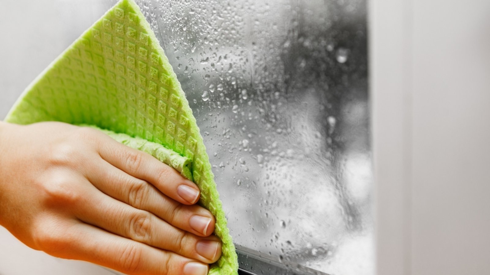 Wischen Sie die feuchten Fenster immer trocken.Foto: Ruslan Ivantsov / shutterstock.com