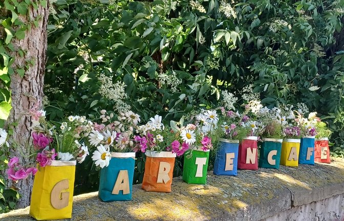 Nicht nur der Kuchen, sondern auch das Ambiente ist beim Gartencafé des Obst- und Gartenbauvereins Vaihingen sehr genossen worden. Erstmals in diesem Jahr hatte der Verein das Café im Grünen angeboten. Gegenüber des Rondells in den Auwiesen liegt der Garten, den die Vereinsmitglieder mit viel Liebe pflegen. Gesäumt von mächtigen Bäumen spendet er auch viel Schatten. „Toll geschmeckt haben mir die Nussecken, meinte die sechsjährigeTanja. Die OGVler hatten keine Mühen gescheut, um Torten und Kuchen anbieten zu können. Was Vereinsvorstand Dietmar Staiber, der auch das Foto gemacht hat, besonders freute: Es kamen viele Familien mit ihren Kindern. Eingekehrt sind auch viele Radfahrer, die auf dem Enztalradweg, der direkt am Garten verläuft, unterwegs waren. Das nächste Gartencafe findet am Sonntag (9. Juli) um 14 Uhr statt.