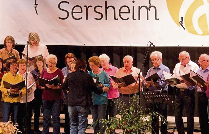 Der Gemischte Chor des Liederkranzes Sersheim erinnerte unter anderem an den Hit Blue Bayou. Fotos: Friedrich