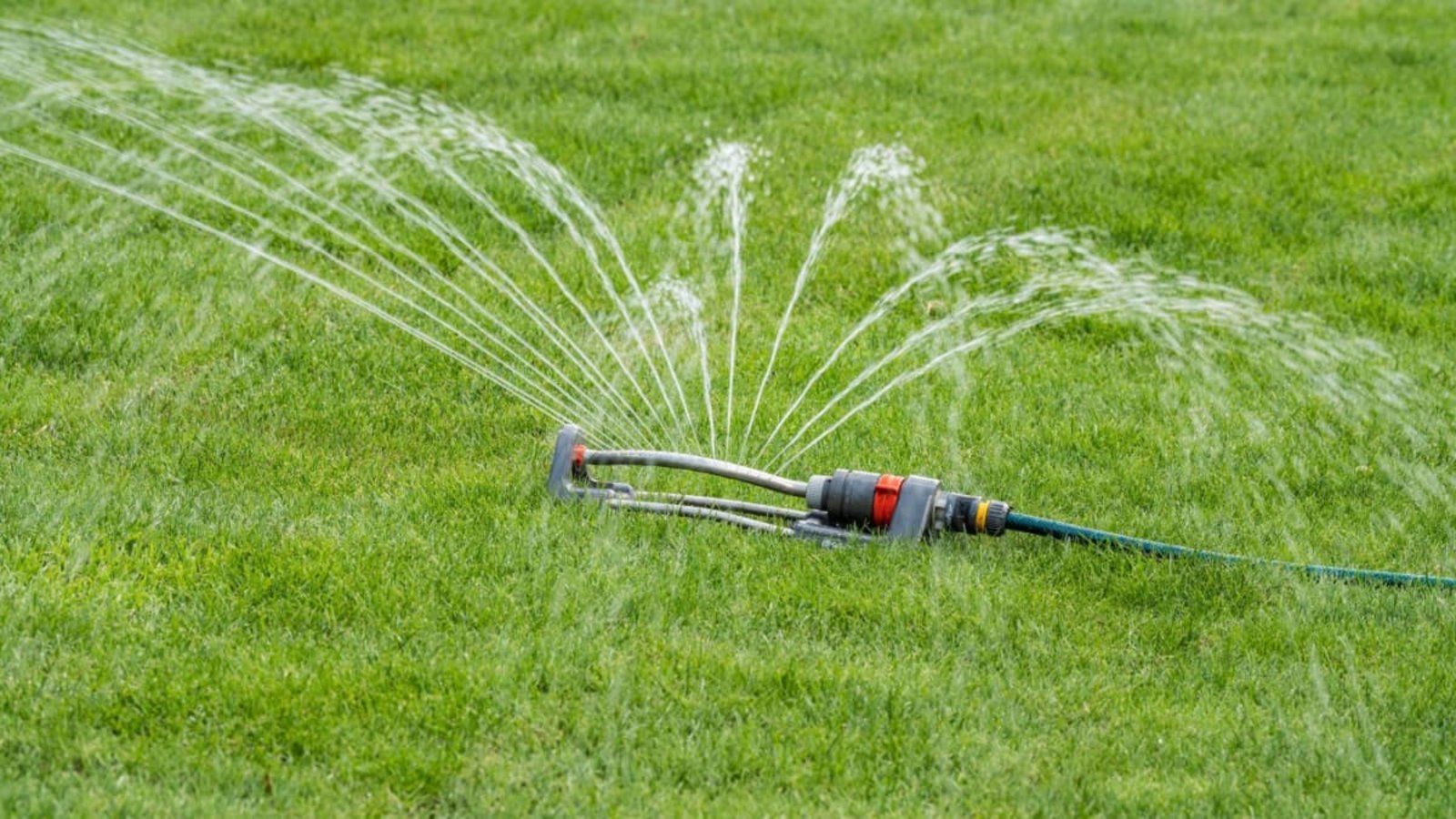 Vielen Städte und Gemeinden rufen dazu auf, solche Rasensprenger nicht mehr einzusetzen, wenn es warm wird.Silas Stein/dpa Vielen Städte und Gemeinden rufen dazu auf, solche Rasensprenger nicht mehr einzusetzen, wenn es warm wird.Silas Stein/dpa