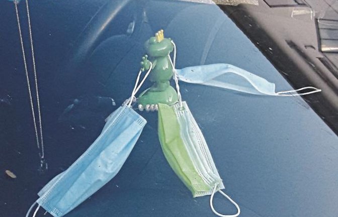 Froschkönig in Corona-Zeiten.  Foto: Rücker