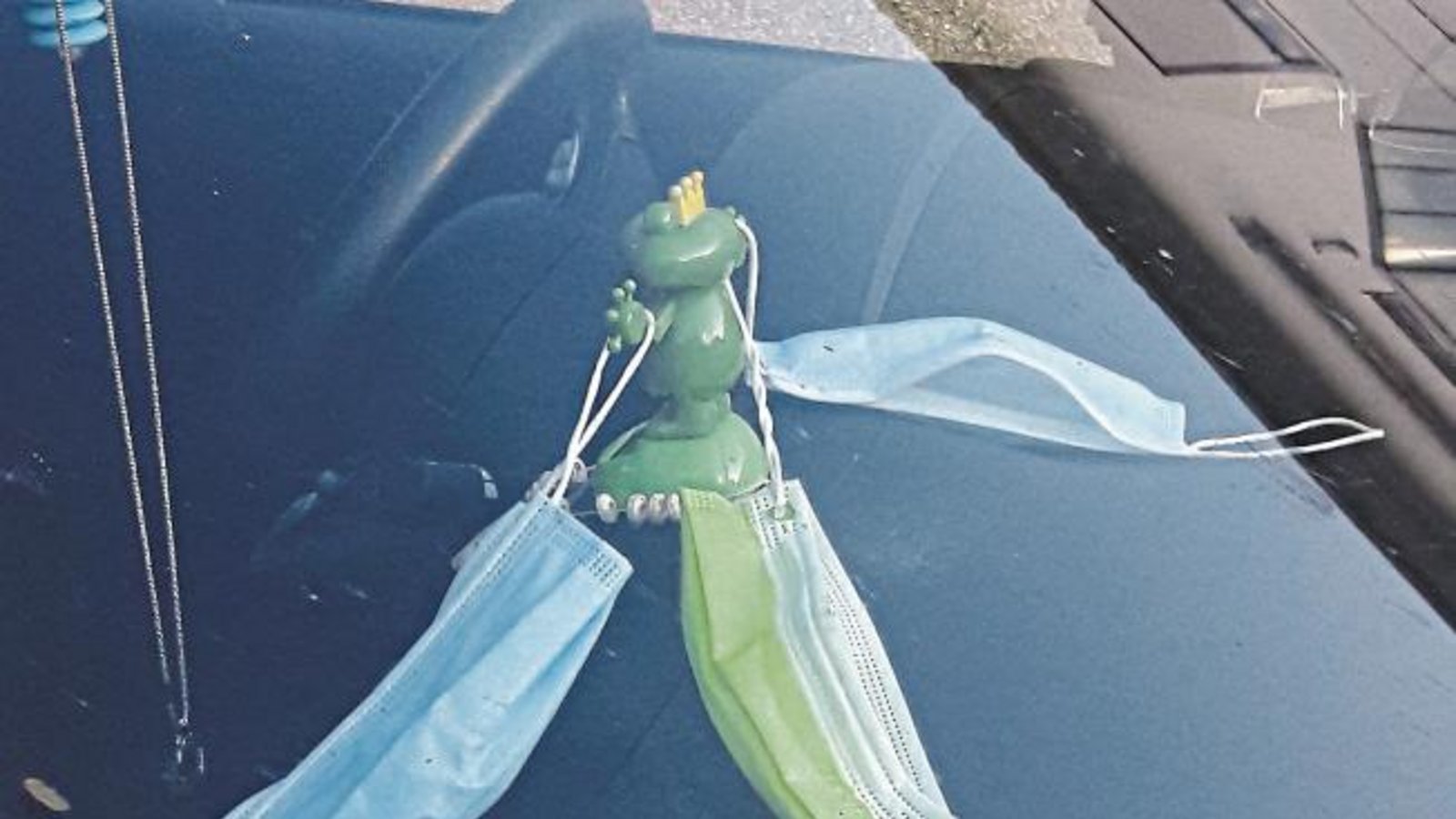 Froschkönig in Corona-Zeiten.  Foto: Rücker