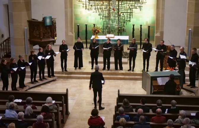 Das Vokalensemble Ulmer Münster ist am Sonntagabend in der Vaihinger Stadtkirche zu Gast und offeriert gemeinsam mit Bezirkskantor Sören Gieseler eine stimmungsvolle Abendandacht.  <span class='image-autor'>Foto: Friedrich</span>