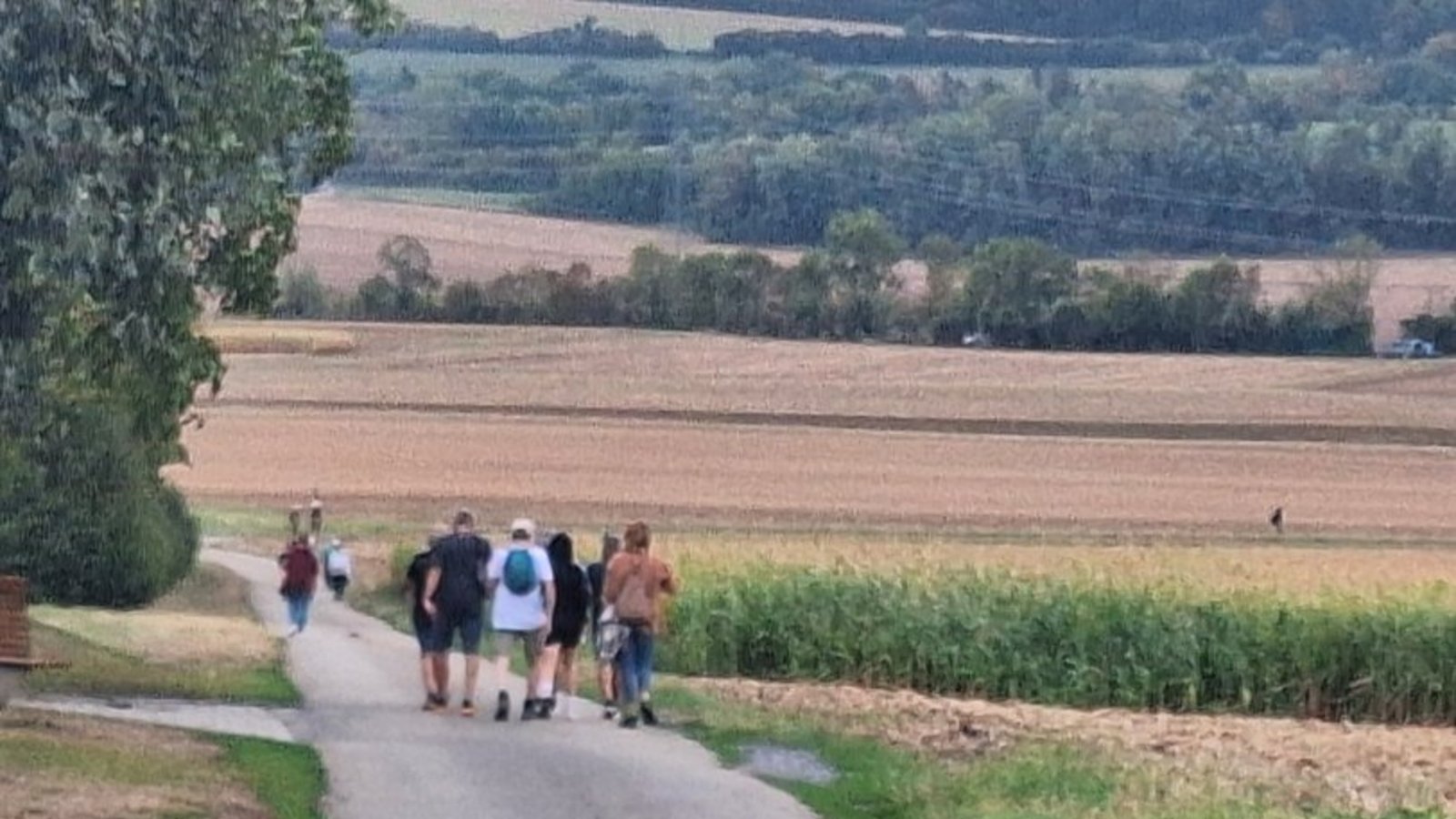 Hinaus auf das offene Feld.
