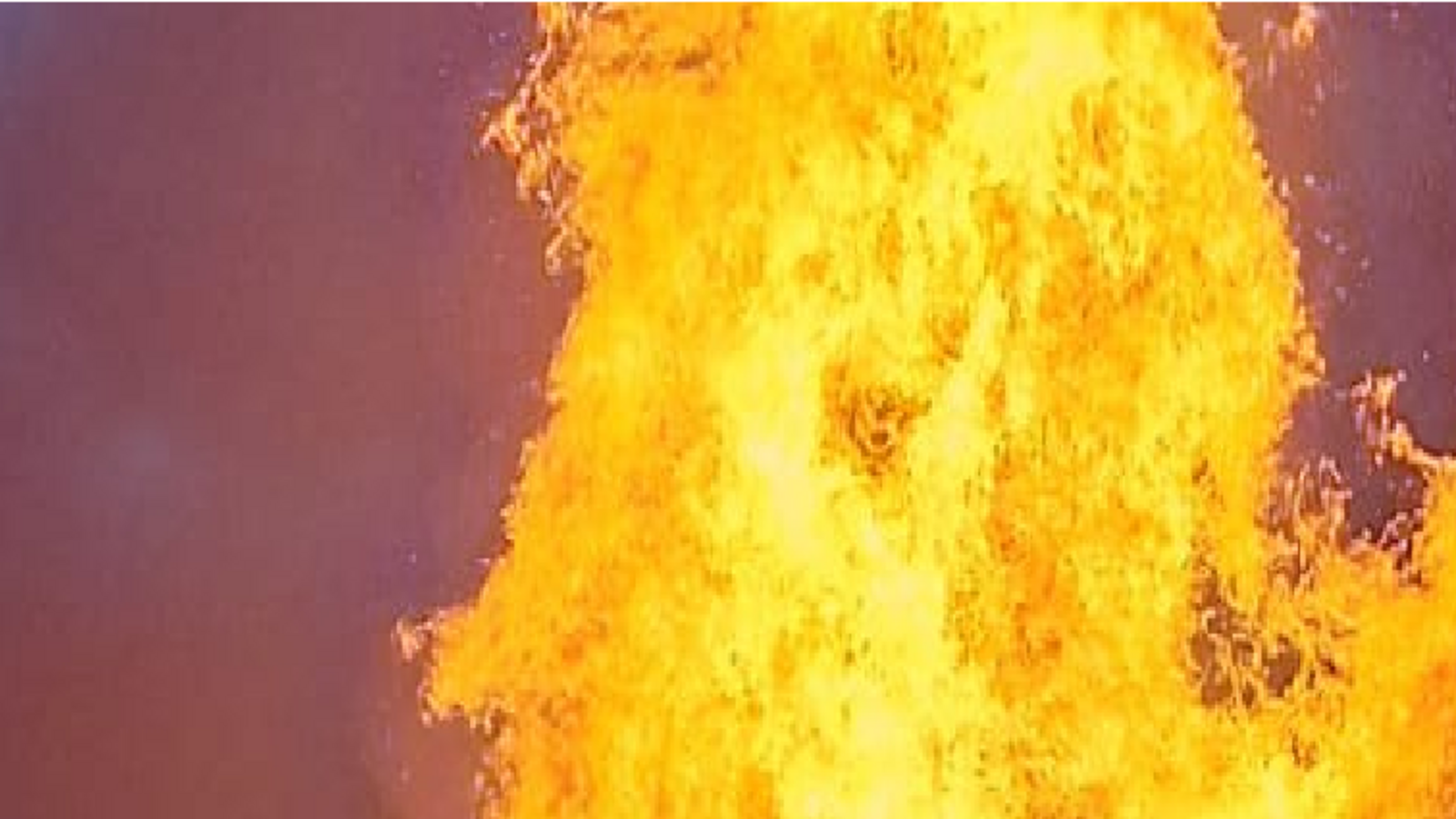 Die Polizei hofft auf Zeugenhinweise. Foto: Symbolbild