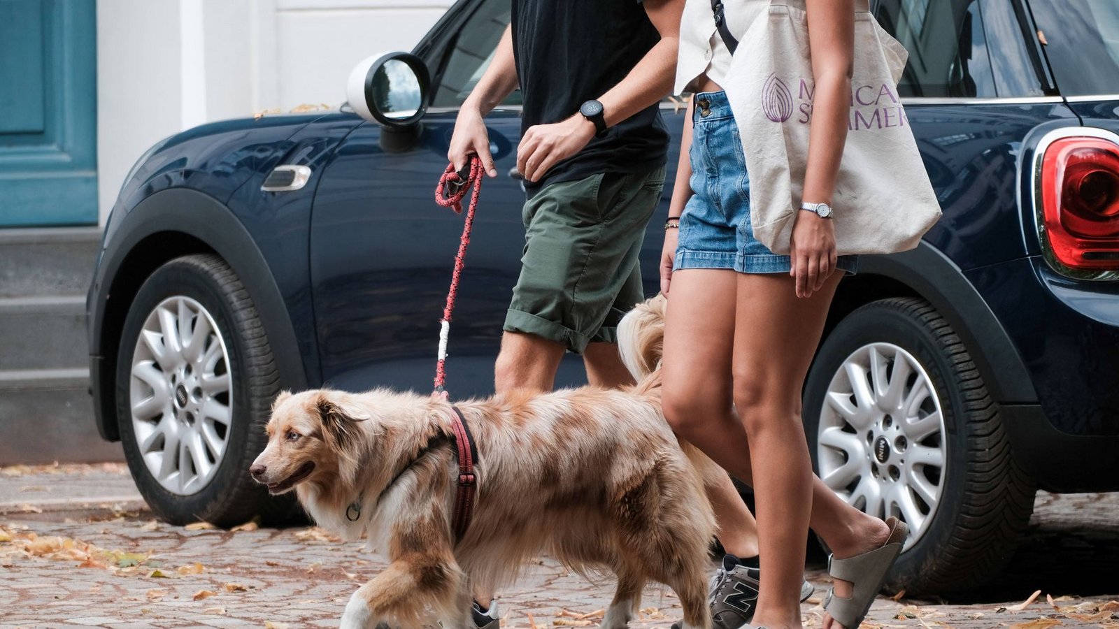 Nicht nur die Hunde, auch ihre Halterinnen und Halter machen bei ihren Gassirunden die Nachbarschaft sicherer.Foto: imago//Michael Gstettenbauer Nicht nur die Hunde, auch ihre Halterinnen und Halter machen bei ihren Gassirunden die Nachbarschaft sicherer.Foto: imago//Michael Gstettenbauer