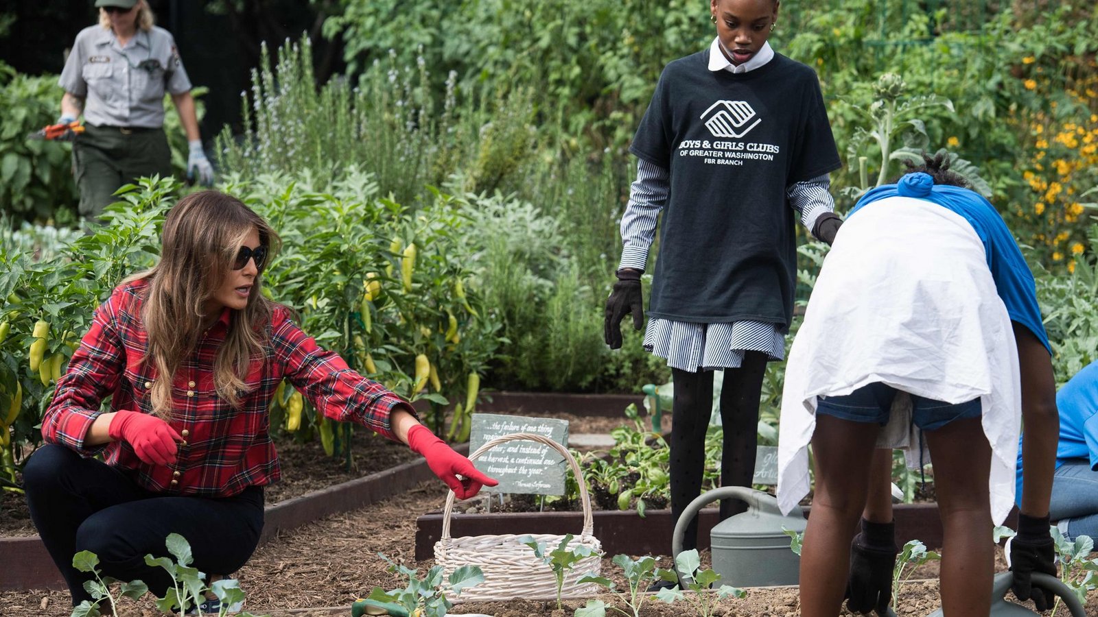 Eher lustlos buddelt die First Lady in dem von Michelle Obama angelegten Gemüsegarten des Weißen Hauses.Foto: AFP/Nicholas Kamm Eher lustlos buddelt die First Lady in dem von Michelle Obama angelegten Gemüsegarten des Weißen Hauses.Foto: AFP/Nicholas Kamm