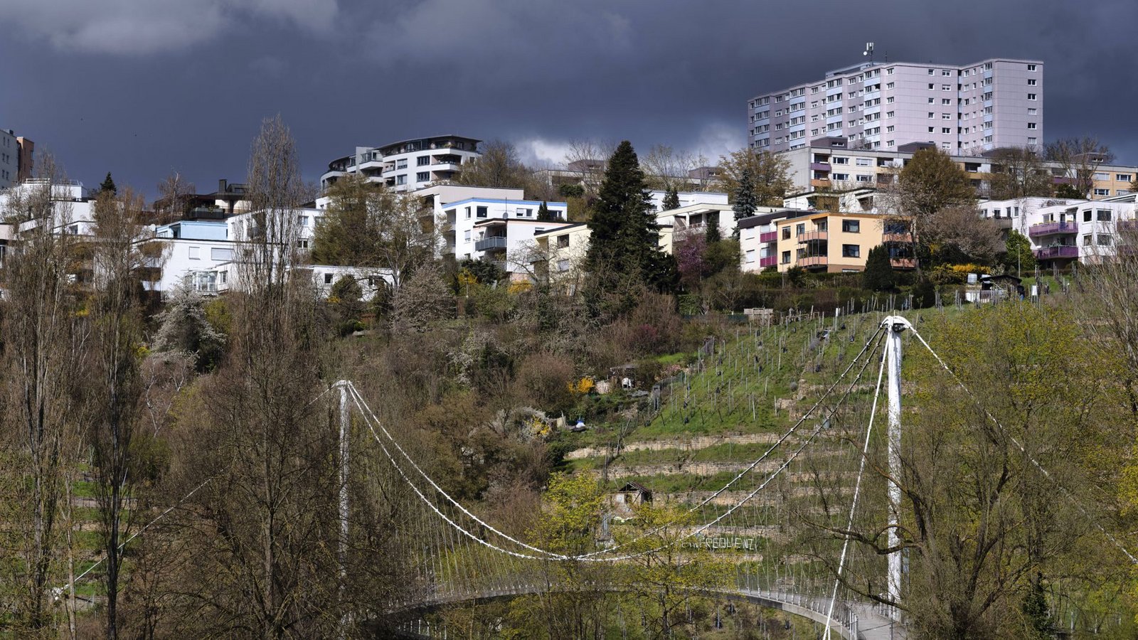Blick auf Stuttgart-Freiberg: Der Stadtteil wird in „Woyzeck 70437“ mit einbezogen.Foto: IMAGO/imagebroker/IMAGO/imageBROKER/Michael Weber Blick auf Stuttgart-Freiberg: Der Stadtteil wird in „Woyzeck 70437“ mit einbezogen.Foto: IMAGO/imagebroker/IMAGO/imageBROKER/Michael Weber