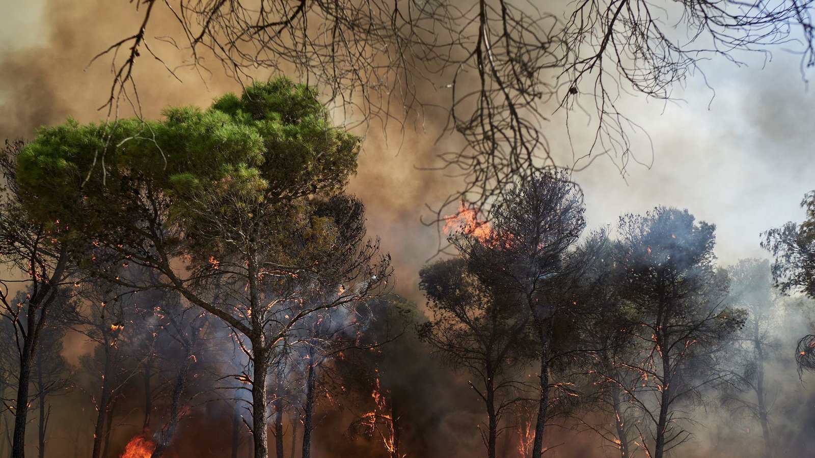 Rauch und Feinstaub aus Waldbränden verunreinigen auch noch in weiter EntfernungFoto: Eduardo Sanz/EUROPA PRESS/dpa Rauch und Feinstaub aus Waldbränden verunreinigen auch noch in weiter EntfernungFoto: Eduardo Sanz/EUROPA PRESS/dpa