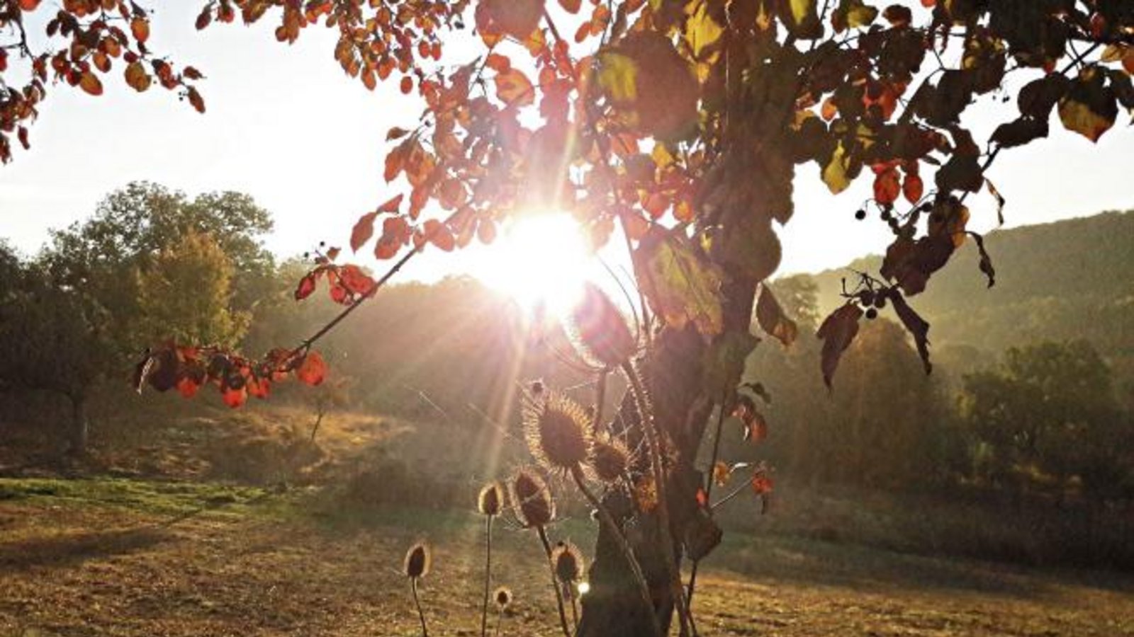 Der goldene Oktober hört einfach nicht auf! Foto: Rücker
