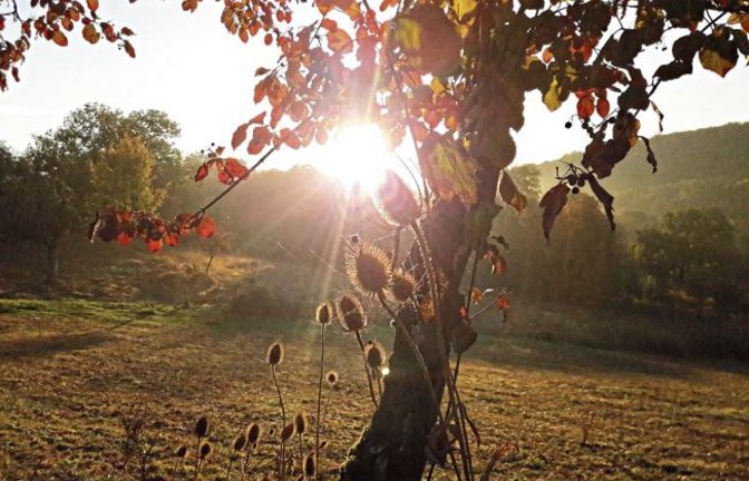 Der goldene Oktober hört einfach nicht auf! Foto: Rücker