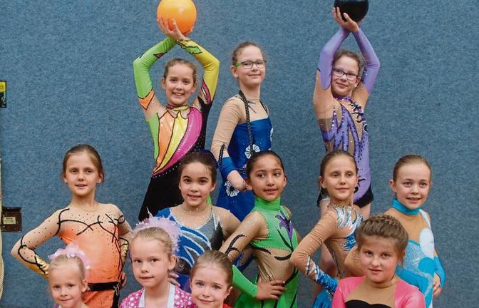 Die erfolgreichen B- und C-Jugendlichen des TV Sersheim beim Bezirksfinale. Foto: privat